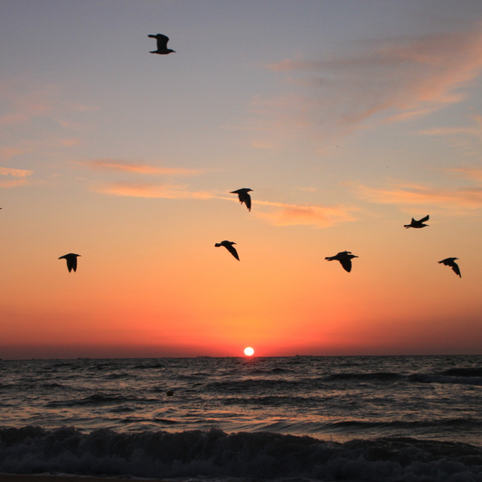 Reconnexion à soi : pourquoi tu n’arrives plus à t’écouter