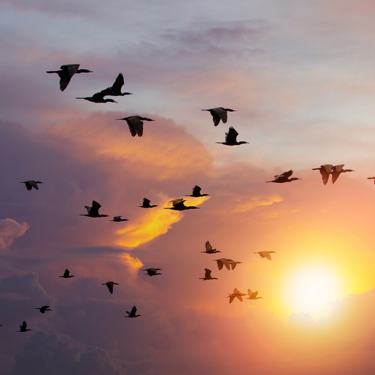 Comment incarner ta vision au quotidien