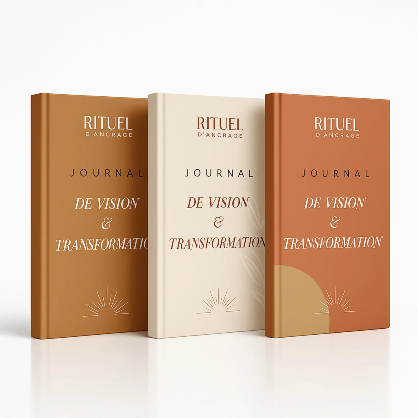 Journal De Vision Transformation