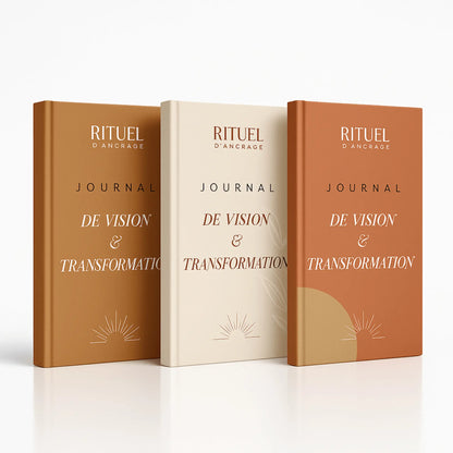 Journal De Vision Transformation