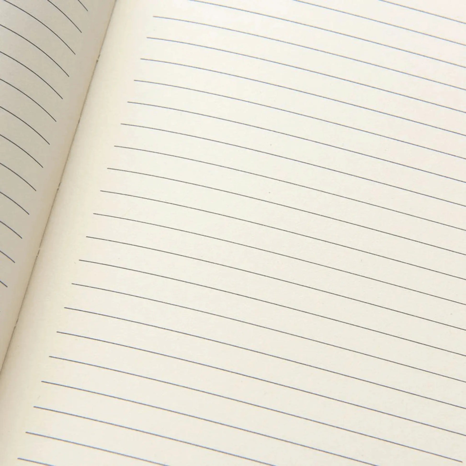 carhier ouvert montrant les lignes à l'interieur