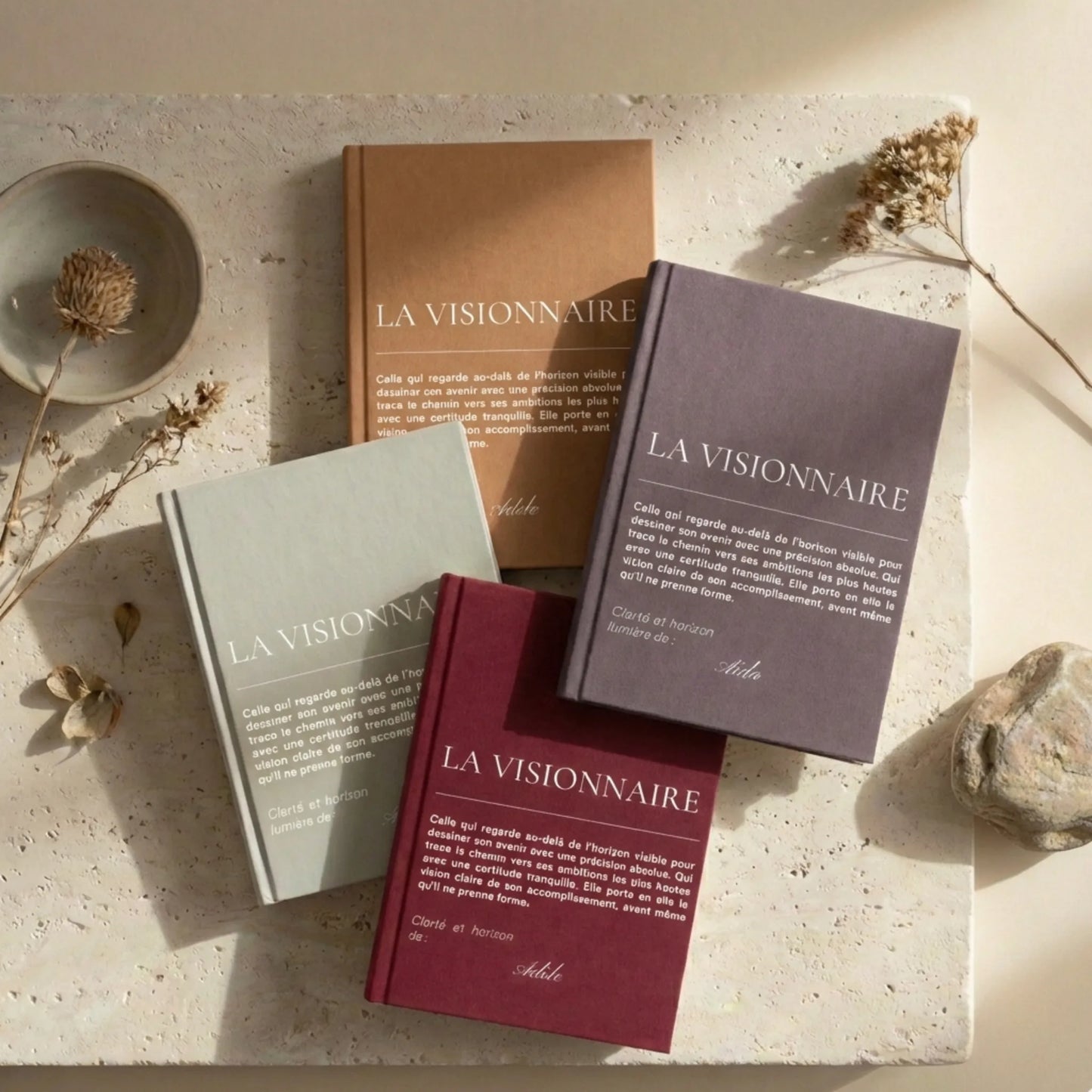 collection complete des carnets la visionnaire