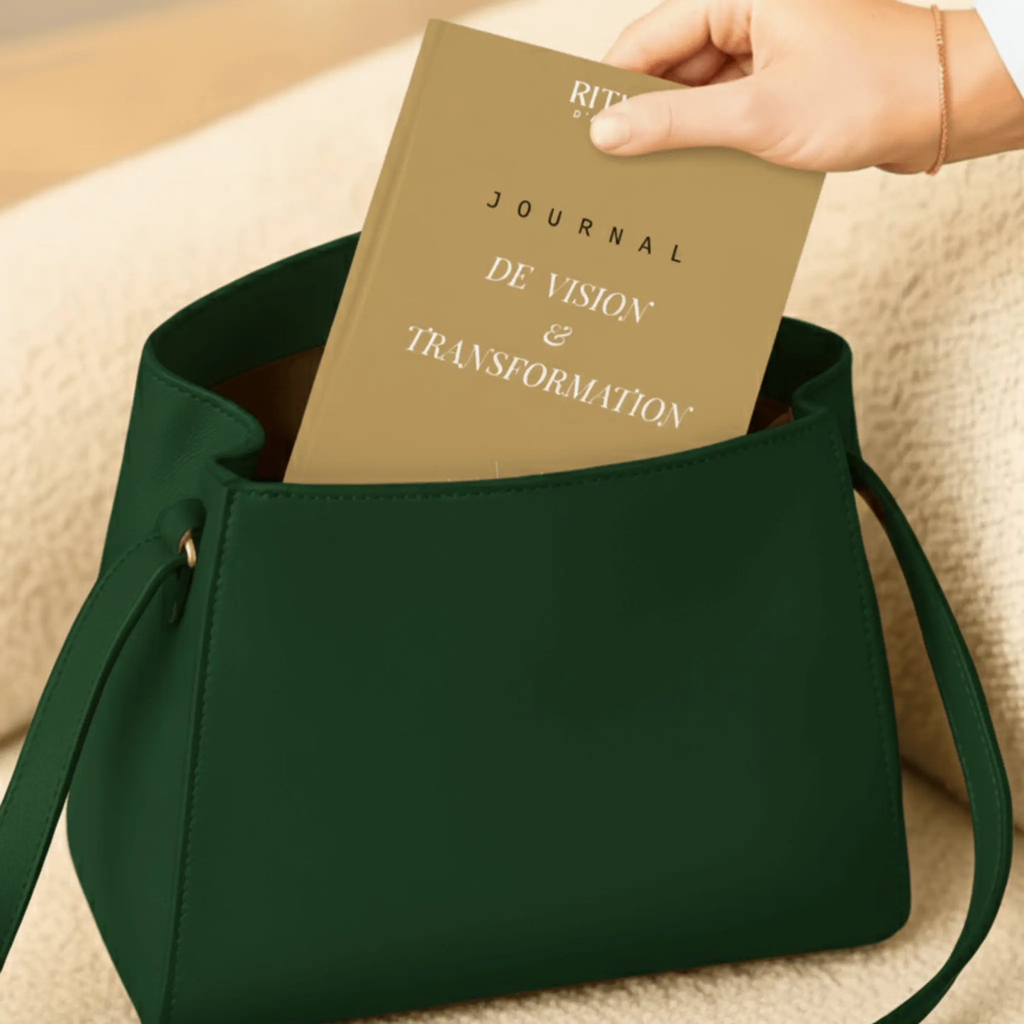 Journal De Vision Transformation