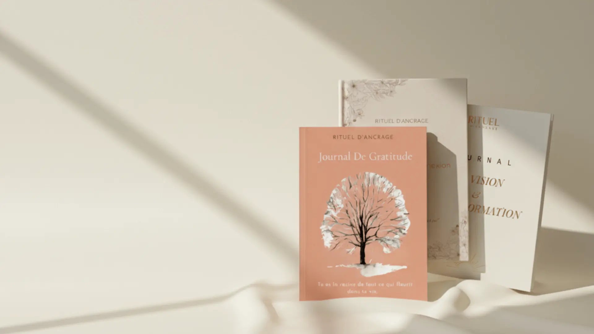 presentation du journal de gratitude accompagné du journal de reconnexion et du journal de transformation