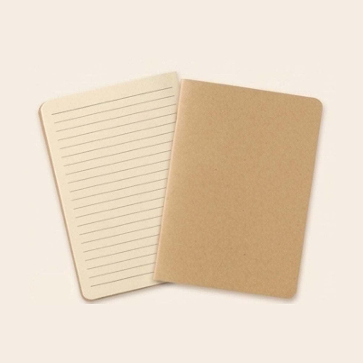 Recharge carnet cuir : un cahier ligné et un cahier kraft, format 19 x 10,5 cm