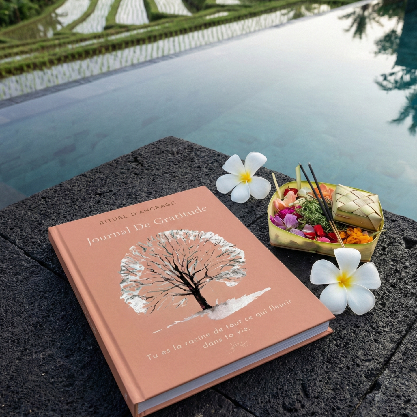 Journal De Gratitude