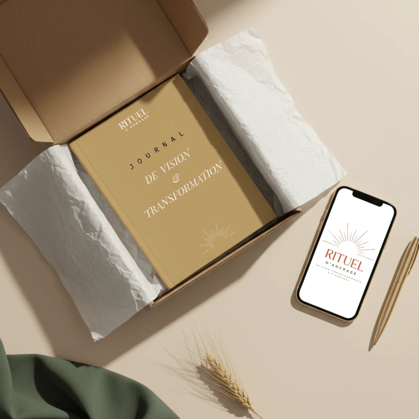 Journal De Vision Transformation