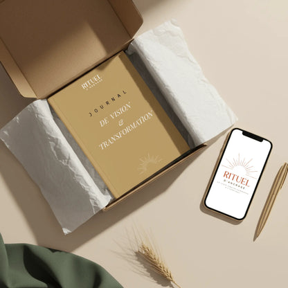 Journal De Vision Transformation